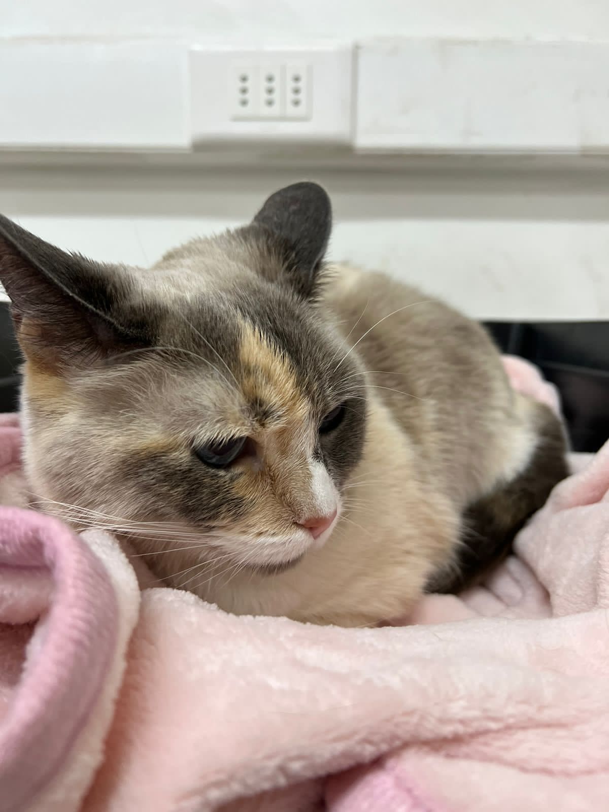 image_6483441 (2)-min