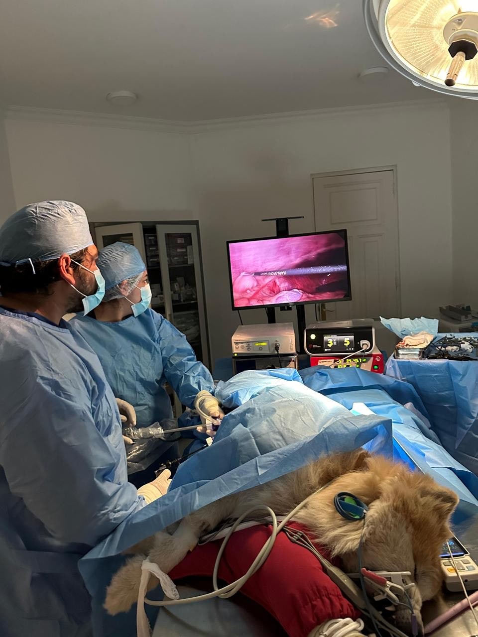 image_6483441 (4)-min