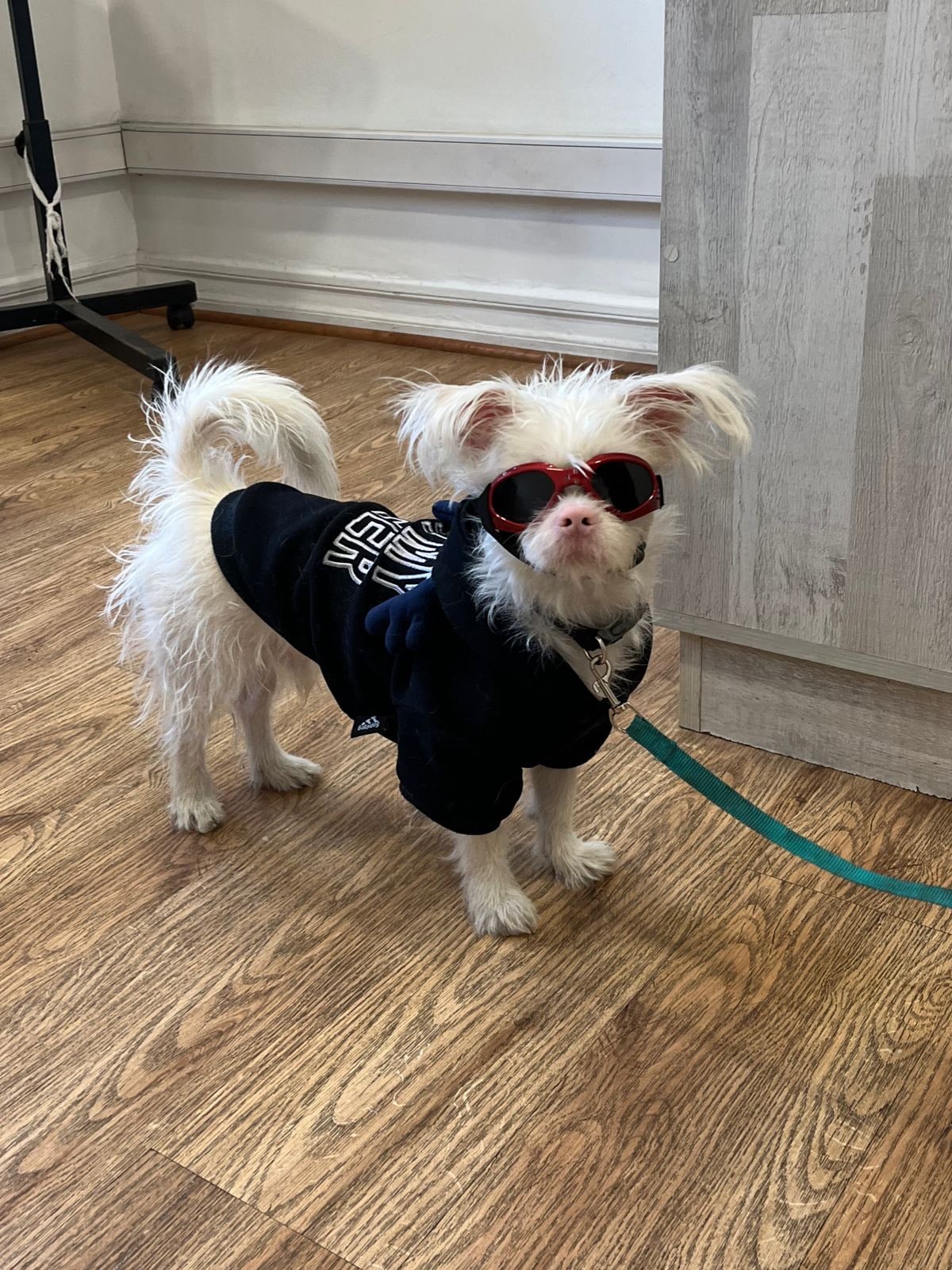 image_6483441 (6)-min